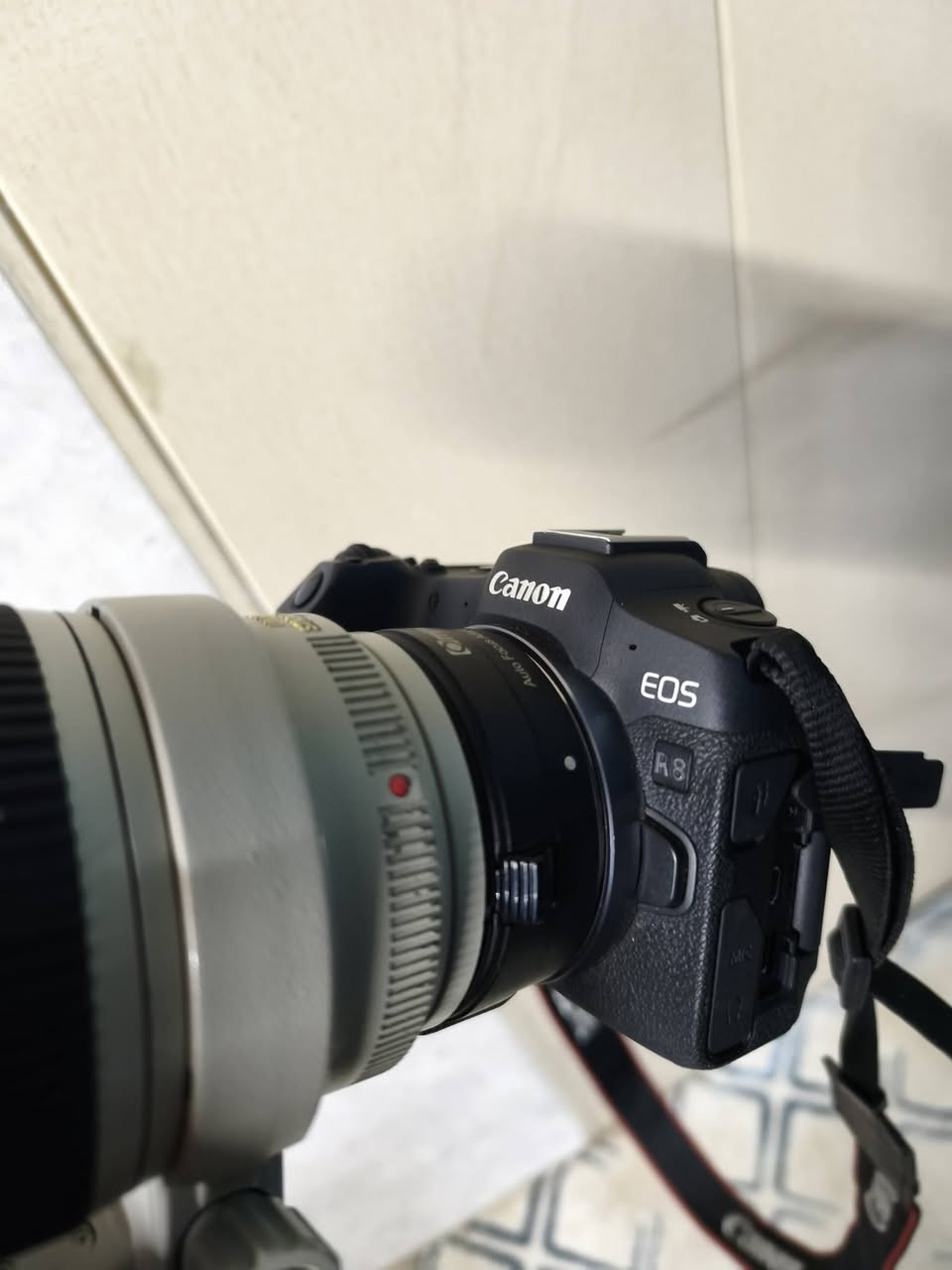 للبيع: Canon R8 + عدسة 70-200 f/2.8 إصدار ثاني + أدابتر
للتواصل والاستفسار على الرقم التالي واتساب : ***********
