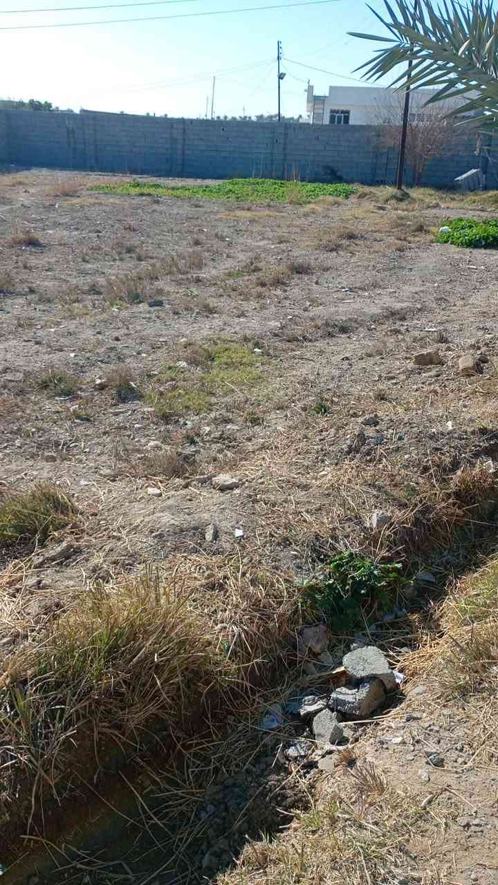 سلامو عليكم دونم عقد 17 حميد شعبان البيع يم جامع سعر خاص هاذه رقمي ***********و***********
