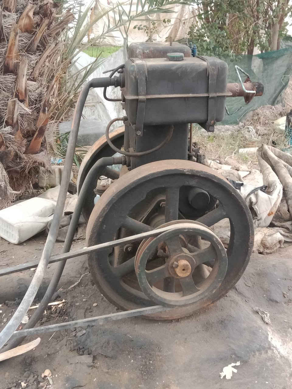 مولده ام القايش للبيع
السعر 500تفاصيل اتصال 
***********
