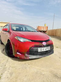 الحويجه • شركاط • بعد الظهر