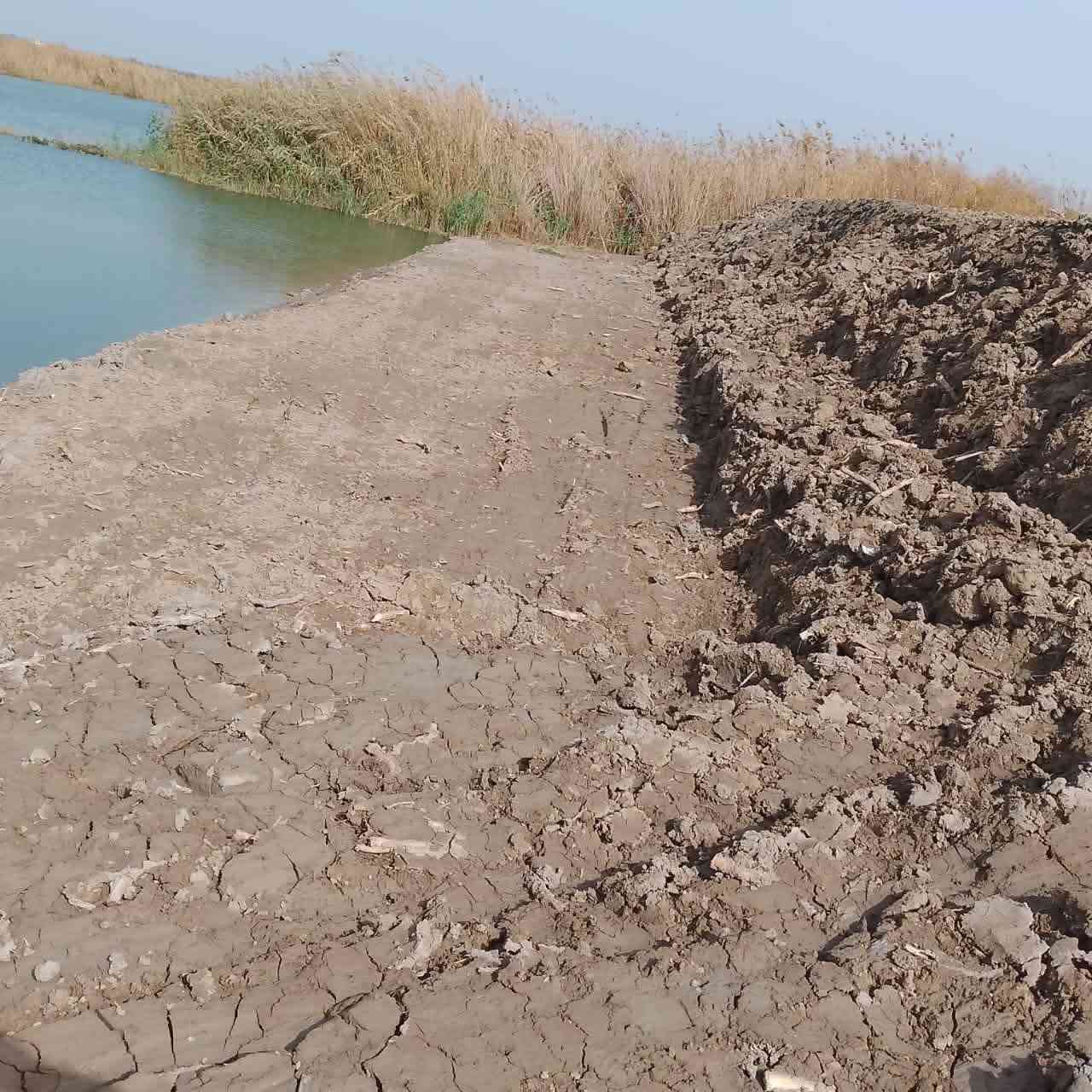 السلام عليكم أرض طابو سند ٢٥ شرط التحويل شاطيه المساحه ٤ دونم مسيجه الوجه ٤٥ والنزال ٢٣٠ موقعها واسط العزيزيه منطقه الدير الشارع تبليط صدرها على التبليط ونهايته الشط يعني ترهم سياحه وكلشي يعجبك وباقي التفاصيل الاستفسار على الرقم ***********
