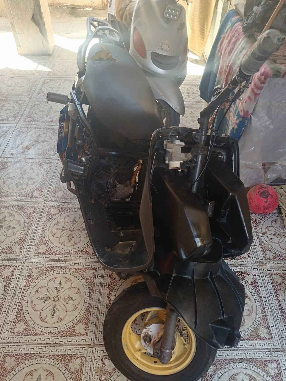 فراشه فحل بيها كزوز رياضي سعر خاص


**إذا كنت صاحب هذا الإعلان وتريد حذفه لأي سبب، رجاءا أرسل رسالة إلى الدعم الفني**