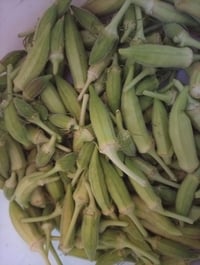 حجز • بامية • طازة