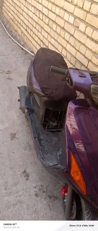 فراشه فحل • كابريته تعبانه • سلف شغال