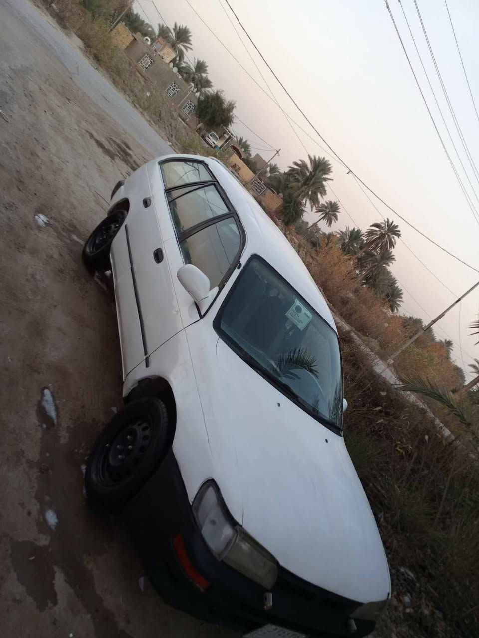 سلام عليكم كورله 1993 مكينه وكير كارتون تخم تاير ويلات جدد كهربائيات وره كداد شغاله  رقم بغداد سنويه ل 28 مشروع وطني مالكه بالنجف خوش انسان دوشمه جديده تنته جديده حداديه خير من الله زينه سياره مال جناي مكفوله كص ونقل جثه مكان نجف كوفه 39 بيه مجال الاستفسار عل رقم  ***********
