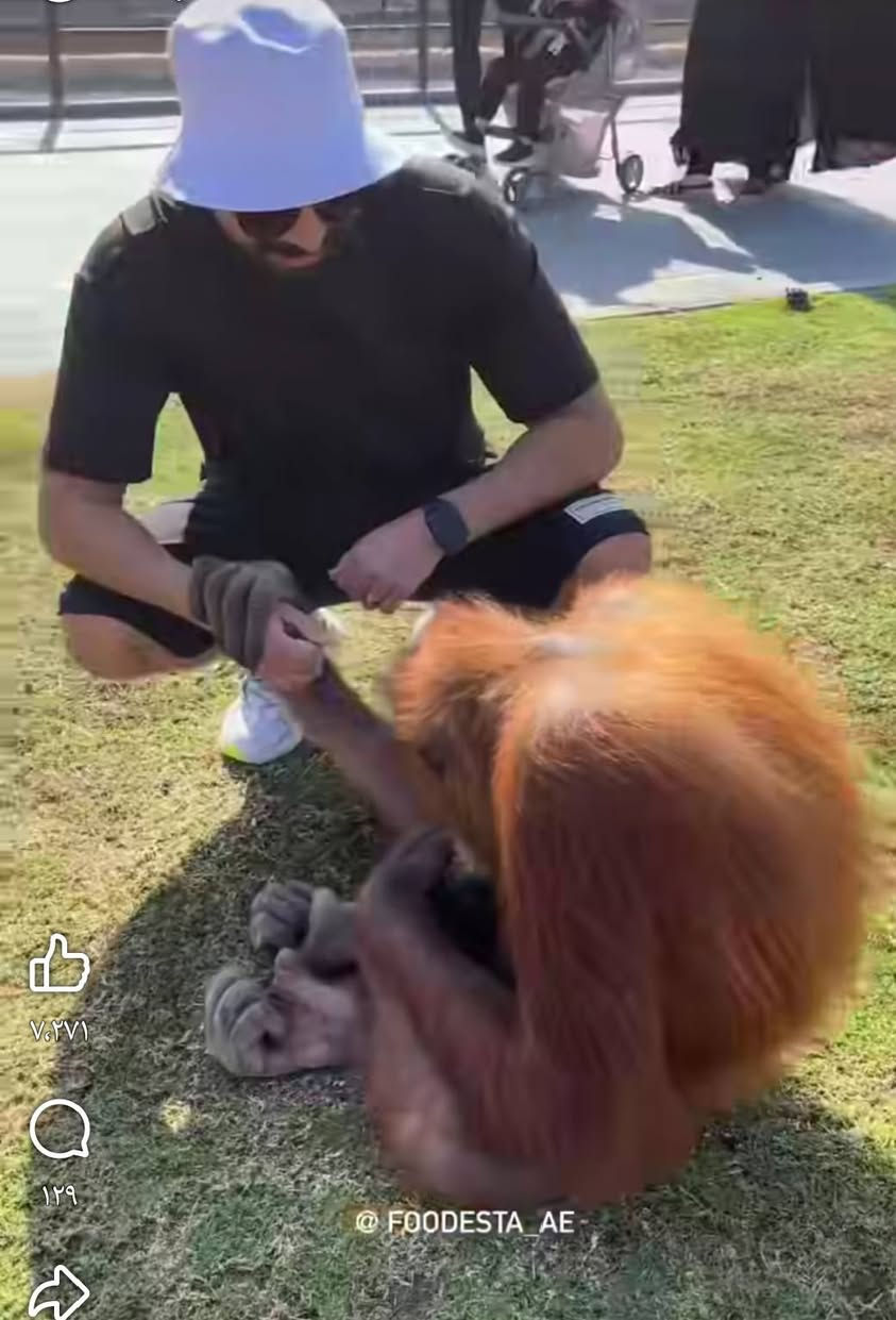 كل عام وانتم بالف خير
حملتنا يوم الاربعاء إلى مدينة الكاظمية المقدسة 
حلويات معجنات باب الاغا 
مول الحارثيه * حديقة زوراء سعر 8000
المتعهد الحاج ازهر الرويعي ***********
المتعهد محسن ***********
***********
