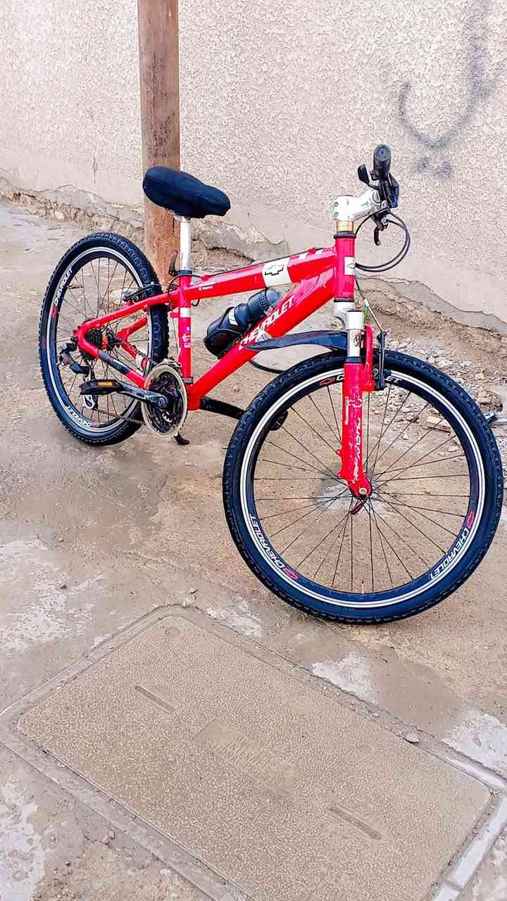 السلام عليكم بايسكل ياباني للبيع مراوس او بيع سعره 100 وفي مجال شي بسيط ومو شراي لاي*********** مكان بغداد الشعب
