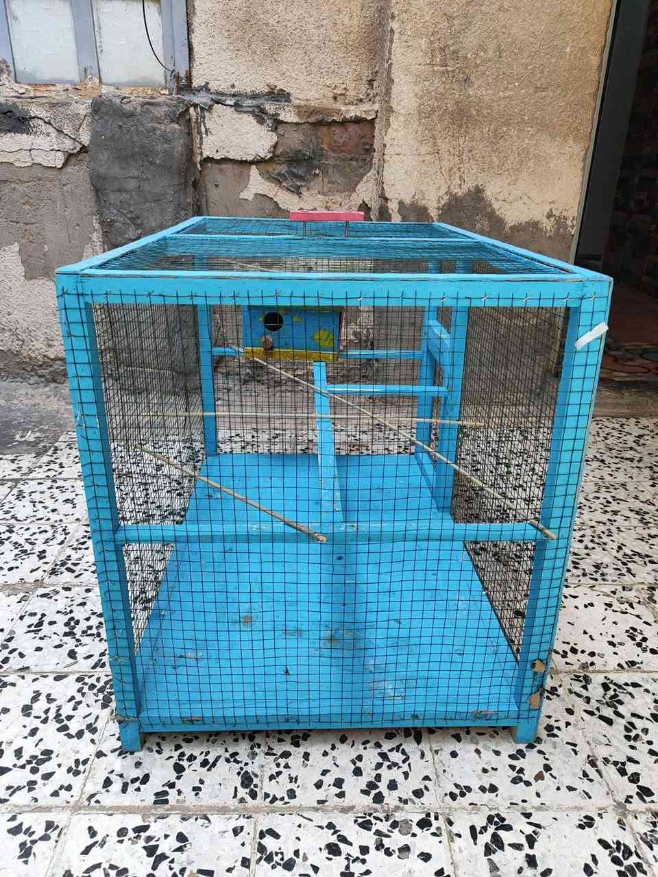 السلام عليكم قفص اطيور للبيع السعر عل الخاص


**إذا كنت صاحب هذا الإعلان وتريد حذفه لأي سبب، رجاءا أرسل رسالة إلى الدعم الفني**