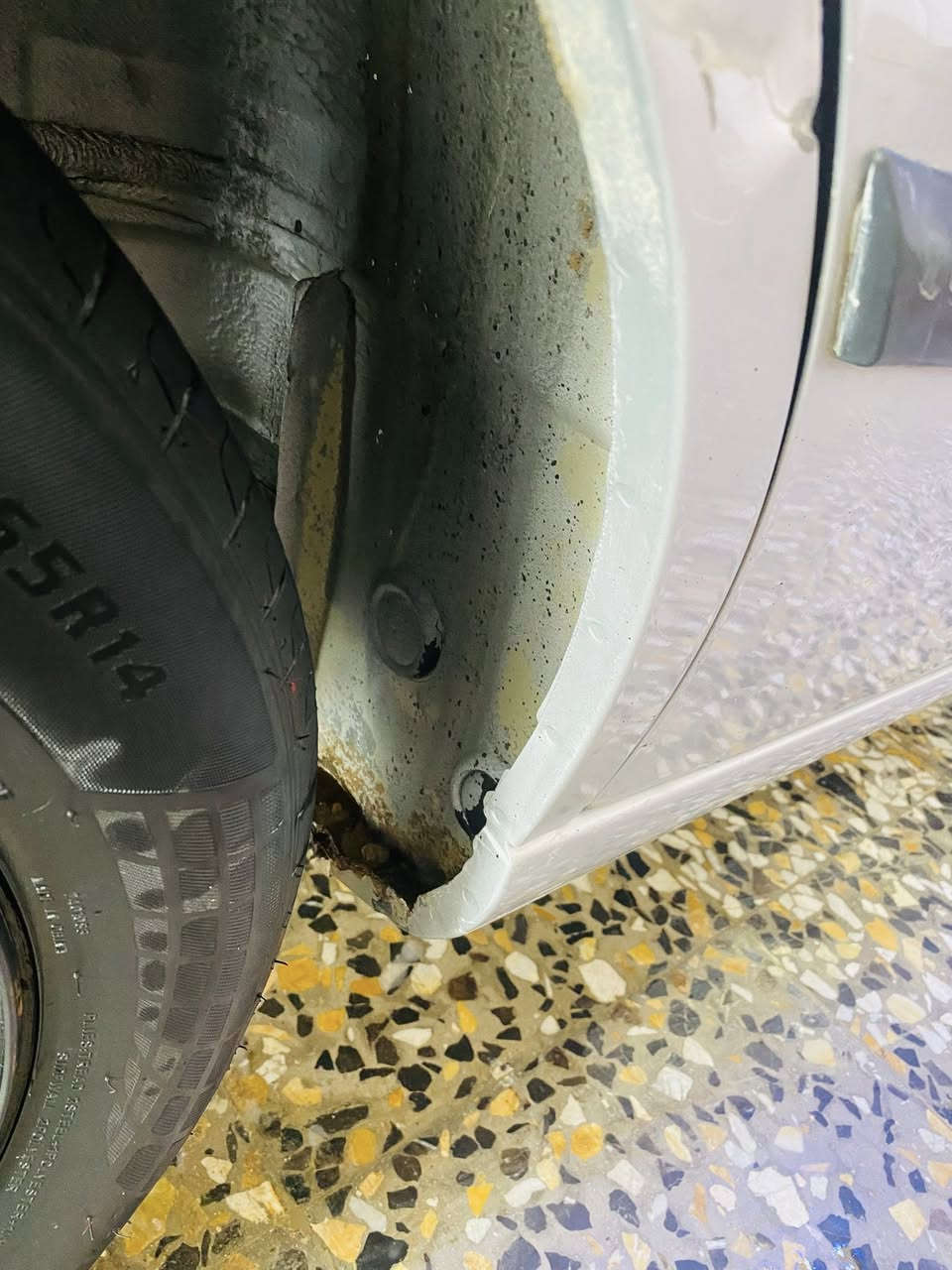 سلام عليكم 🫡 سمد 2009 كفاله 

كفاله عامه لاخياس ملكوط ولاشي عل شركه 

دوس بلد عل شركه قطرت صبغ مابيه  

مكينه كير تبريد لكوك 

سنويه جديده ل٣٠بسمي   مصفره غرامات 

مكان سياره كربلاء.   *********** سعرب 52وبيه مجال بل خدمه
