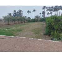 دونم ونص البيع مكان اليوسفيه ديريه ام محار منطقه البعامر تحتوي على دار...