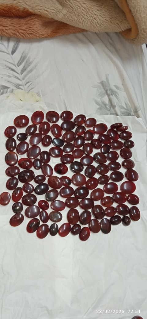 كرز الكرز وكرزي للبيع


**إذا كنت صاحب هذا الإعلان وتريد حذفه لأي سبب، رجاءا أرسل رسالة إلى الدعم الفني**