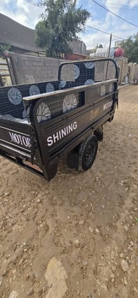 ستوته • 2019 • اوراق كاملة