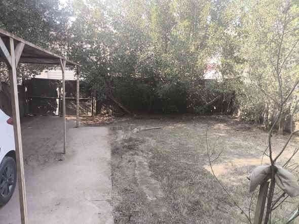 السلام عليكم عدي هاي السقفيه لبيع الطول ٩ العرض مترين ونص 
وسيم بي ترسي ودنك  وباب 
مكاني الديوانية ام الخيل 
استفسار 
***********
