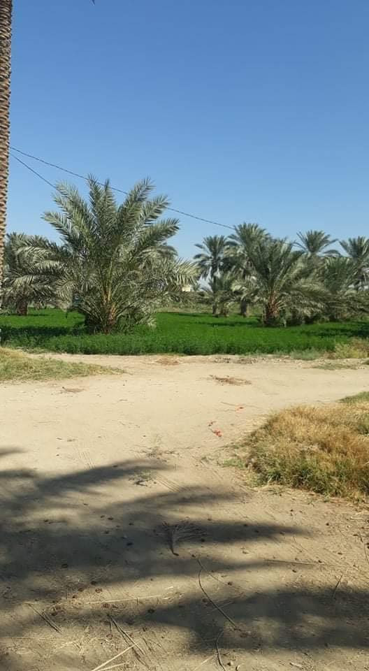 دونم للبيع طابو سند 25 واجهة 30 متر على شارعين موقع سكني مميز متوفر فيه كل الخدمات ًًًموقعه في المحاويل قرب بيت أبو الطياره يبعد عن الشارع العام مايقارب 200 متر والأرض مزروعة نخيل وهذه صور الأرض تحويل مباشر في طابو المحاويل السعر والاستفسار والمعاينة الاتصال صاحب الأرض مباشرة على 
الماسنجر 
00201040175849 واتساب
***********
