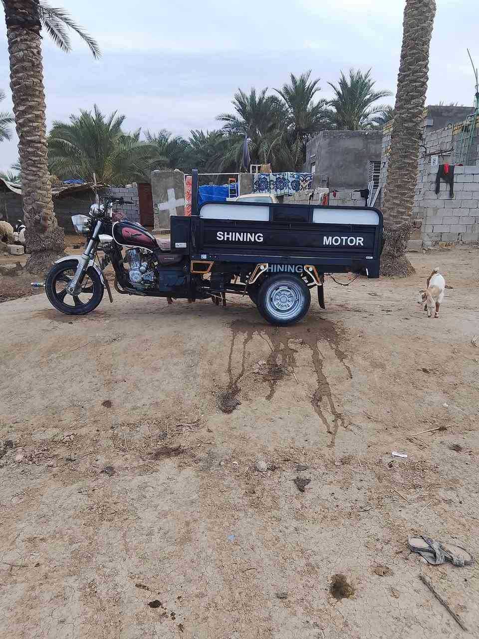 سلام عليكم ستوته البيع جمره فحل موديل 22 مكفول كفاله عامه رقم نكليزي نجف وسنويه 29  مكاني نجف أبو صخير حيره رقم بيه وتساب ***********
