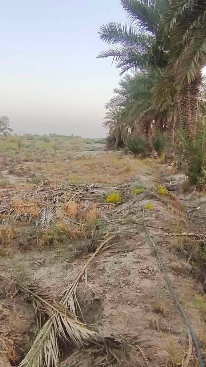 بستان دونمين نخل حمال كاع حلوه كافة الخدمات ماء وكهرباء شارع مكانه الناصريه
الفريحي السعر ٦٠ قابل للتفاوض رقم الهاتف

‭***********‬
