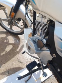 مراوس بعظم • مديل ٢٣/٢٤ • كربلاء