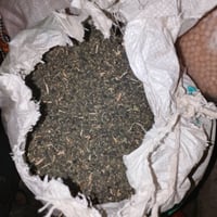 واسط زبيديه • بزر