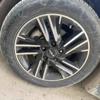 عندي هذا تخم حجم 16 اريد مراوس بتخم مال فورتي بلادي او ويل اسود حجم 16...