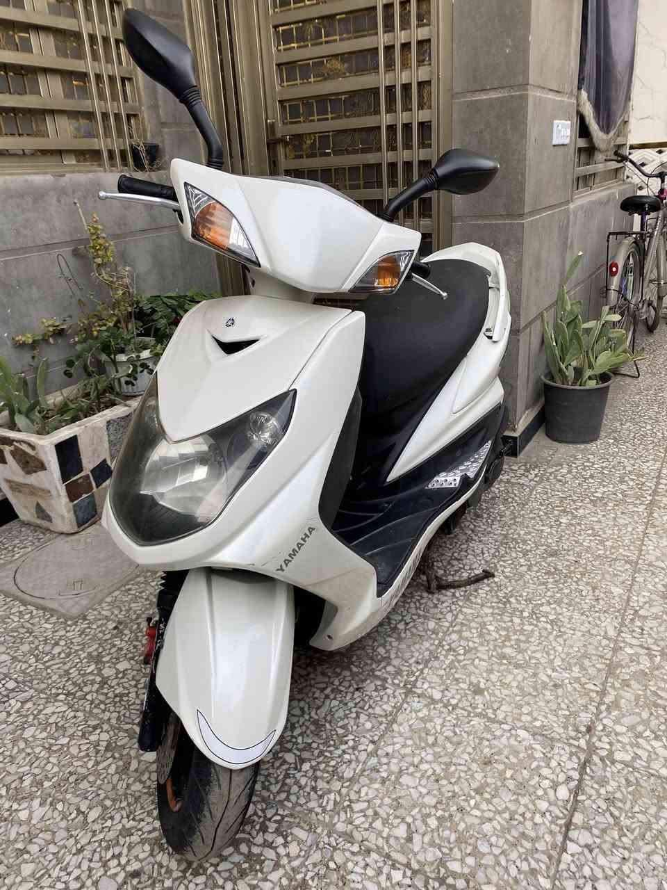 سكنس فحل كابريتر رمبه كفاله عامة سعرها٨٥٠  مكاني بغداد ‭٠٧٧٨ ٣٦٠ ٣١٢١‬
