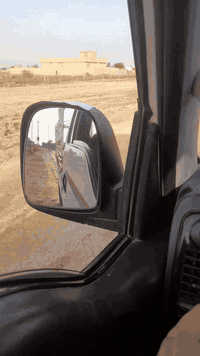 ١٠ دوانم للبيع على الشط مباشر مال البتيره بيهن كهرباء ومحول خاصه بيهن صالحات للزراعه تريد بناء كلشي يرهم موقع راقي جدا لتواصل *********** ة ***********
