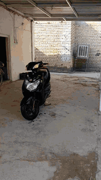 السلام عليكم
سكنس فحل كوري كابريتر

الدراجه مكفوله من التبخير او التنقيص

الدراجه بيها تزويدات خفيفه 

يدات بريك يدات سكليتر بيهه صالنصه رياضي 

صدر امامي جديد

كهربائيات الدراجه كلها شغاله فقط الدشبول بي كم شغله متشتغل ناقصه كهربائي مرتب 

الدراجه بيهه كلوب زنون يعمي 

ناقصهه بس باتري جديد و دوشمه هندر 

السعر 525 و بيهه مجال مكاني الكاظميه او جسر المثنى 

الاستفسار اكثر الاتصال ***********
