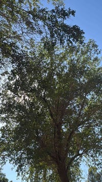 مجمع الرحاب • شقة بأقساط • استلام ديسمبر 2027