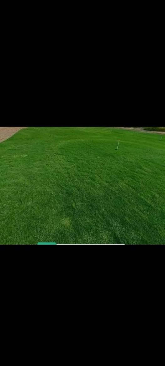 باسعار ثيل ديالى الطبيعي 🏡
أهلاً بكم في مجموعه مزارع ديالى لثيل الهندي الطبيعي 🌿🌱
 نقدم لكم افضل انوع الثيل الطبيعي عالي الجوده يتحمل كافه الضروف البيئية.🌦️🌞
دائم الخضرة🌿🌳 وباسعار تنافسيه وعروض مميزة ☘️❤️
#مستعدون لتجهيز وفرش الحدائق🏡 ودوائر الدولة🏡والمنازل🏡🏡
و تجهيز الملاعب🏟️ والمنتزهات بانسب الاسعار مع ضمان الجودة العالية في العمل👷👷

مع خدمة التوصيل خلال24ساعه🚛🚛
الاسعار 💵💸 تختلف حسب الكمية 
للاستفسار الاتصال على : 
او التواصل مع الصفحه عن طريق ارسال رسالة على الوتساب او الاتصال📞‏‪***********
