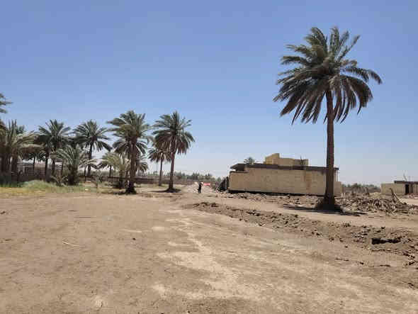 طابو صرف زراعي سند 25 باقي آخر قطعتين
كل الخدمات كهرباء مي تبليط خلف الجامعه الاسلاميه مباشر
اندللك بالعروض مكان بعيد عن الضوضاء هدوء أمن لمستقبلك ومستقبل أولادك سكن قريبا على  الجامعات
والمدارس
ما عليك بس تتصل على الرقم
***********
