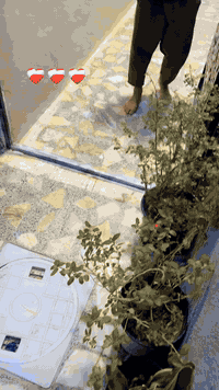 بيع بيت طابوق مساحة 100 متر 🔹
للبيع بيت نظيف ومتكامل، مساحة 100م، بناء طابوق، موقعه مميز جدًا قرب مركز الشرطة.سبع قصور

مواصفات البيت:
🏡 استقبال
🍽️ مطبخ نظامي حار وبارد
🛏️ غرفتين جو وفوك
✨ 
✨ شارع هادئ وخدمي
✨ جاهز للسكن بدون أي تعمير

بيت مناسب 
للاستفسار والمعاينة التواصل على الخاص.***********
وربي يكتب نصيب الخير للجميع 🌿
