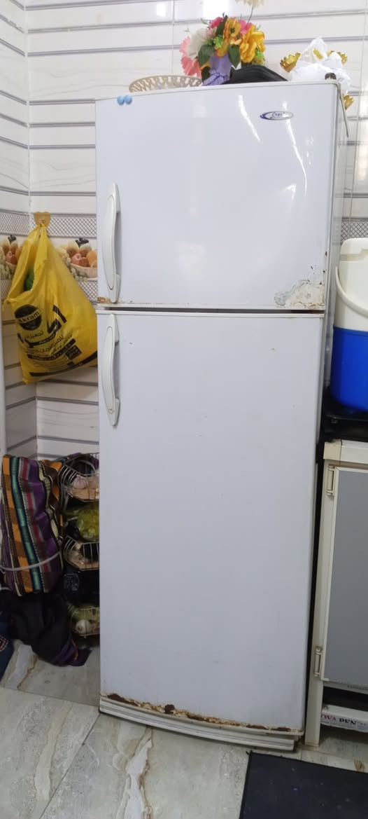 ثلاجه شغاله للبيع السعر 200وبيه مجال الشراي يتفضل خاص


**إذا كنت صاحب هذا الإعلان وتريد حذفه لأي سبب، رجاءا أرسل رسالة إلى الدعم الفني**