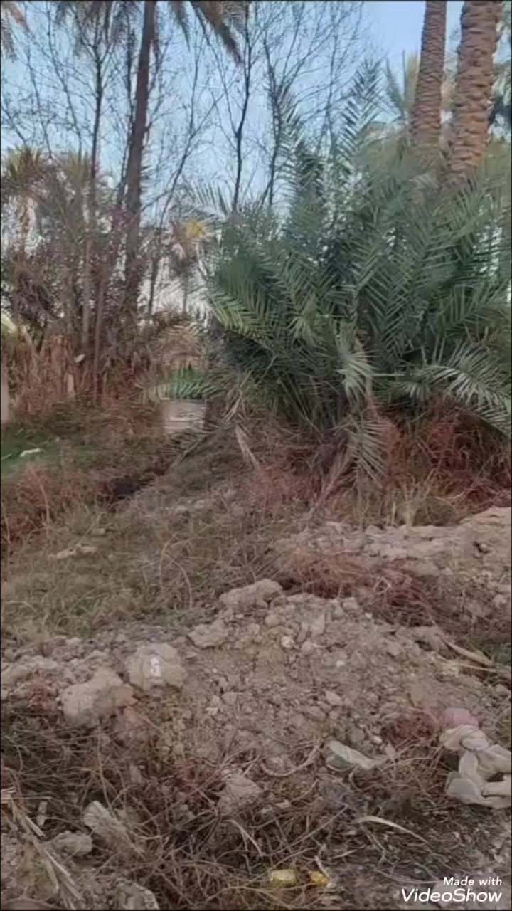 دونم للبيع ٢٥٠٠ متر
السعر ٤٠ مليون قابل للعملة
العنوان - المسيب - قريب عن مرقد اولاد مسلم ع
للأستفسار أكثر- ***********
                        ***********
مكتب الماسة للعقار
