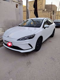 بي واي دي سيل • ٢٠٢٥ • شحن ٧٤ كم