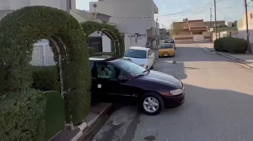 اوبل بزون
1994
شرط تحویل آو وكالة 
بدون صربة سبوغ عام لل جمالیة 
سعر 40 بیها مجال 
***********
