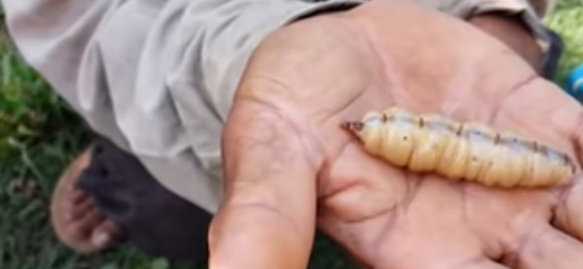 مكتب أعالي دجله 
اعمالنا مستمره لمعالجه الارضه والحشرات المنزليه كوادرنا تعمل بنظام 24ساعه جميع المحافظات وبضمان حقيقي (7)سنوات

للاستفسار اوالمساعده الاتصال على الرقم التالي

***********
