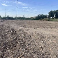 ورحمه الله قطعه زراعيه ع طريق المشايه مباشر ع شارع الزوار  مساحته 600م...