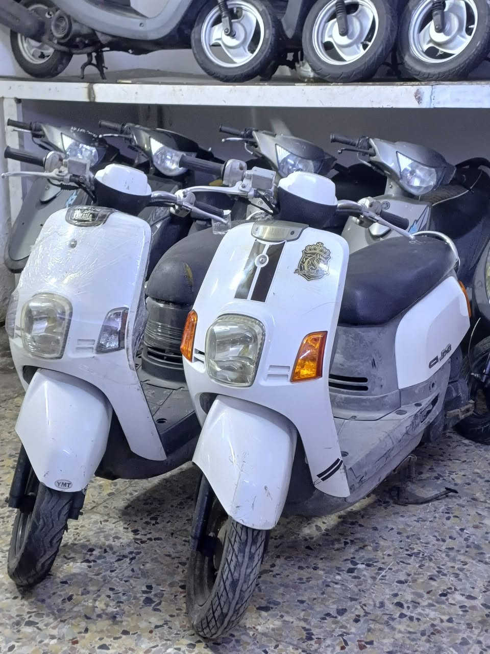 السلام عليكم ورمضان كريم عليكم حبايب يعلن معرض محمد للدراجات الناريه عن العروض التالية...
١_ماكس بوليسي كابريتر/٩٥٠فقط 😲
٢_ماكس بوليسي نوزل شاشه صغيره/٩٥٠فقط 😲
٣_ماكس عدله جميع الألوان/مليون و٥٠ فقط 😲
٤_ماكس بوليسي مصطره حديث/مليون و١٠٠ فقط 😲
٥_فله جميع الألوان/مليون و١٠٠ فقط 😲
٦_سكنز جبلي/مليون و٤٠٠فقط 😲
٧_منغولي سله جميع الألوان/مليون و٢٠٠ بس 😲
٨_بطه ٢٠٠٣ /٨٥٠😲
٩_ بطه ٩٩ ب/٧٥٠😲


**إذا كنت صاحب هذا الإعلان وتريد حذفه لأي سبب، رجاءا أرسل رسالة إلى الدعم الفني**