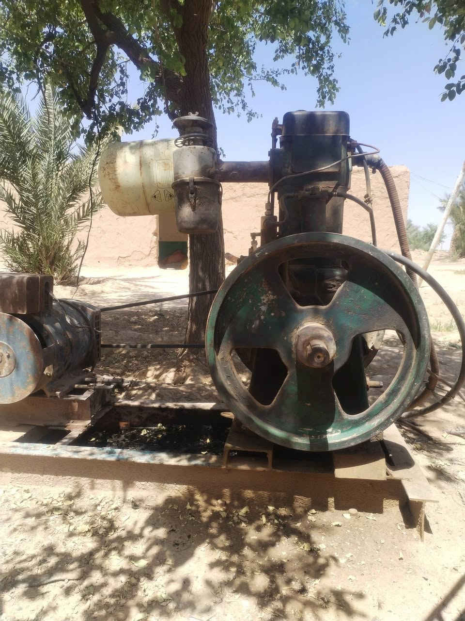 للبيع مولدلسترفرد مارشال ابو8 مولده سبعه ونص فلاوين كبير رقم***********) *********** المكان ديالى العضيم
