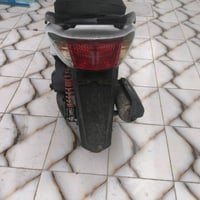 سكنس فحل • نضيفة • محاويل