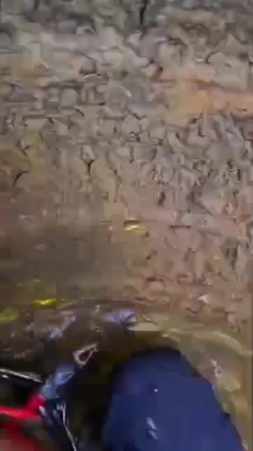 ​خدمات الكبيسي
لغسل التانكيات وازالة الاوساخ والترسبات 💧
📞 ***********