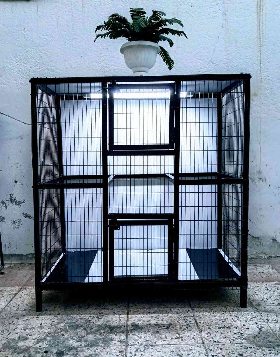 قفص حديد ديكور وتكمه يرهم الكل الطيور السعر ٨٥ الف ابعاد ارتفاع ١١٠ عرض ١٠٠ نزال ٥٠ مكاني الشعله اكو توصيل داخل بغداد


**إذا كنت صاحب هذا الإعلان وتريد حذفه لأي سبب، رجاءا أرسل رسالة إلى الدعم الفني**