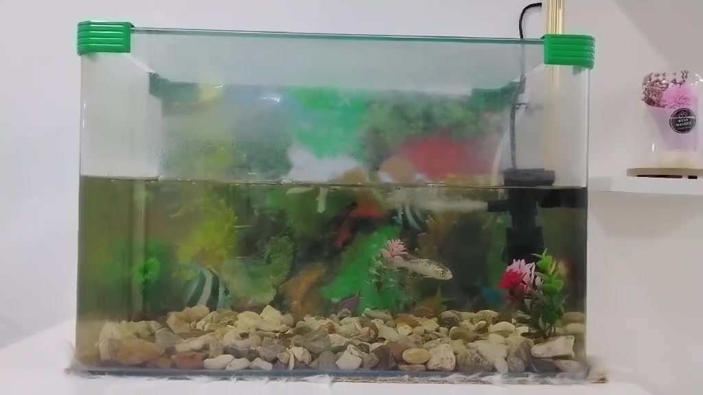 حوض بي سمجه وحده سعره 35 بي مجال مكانه تقطع وركاء جسر معلق


**إذا كنت صاحب هذا الإعلان وتريد حذفه لأي سبب، رجاءا أرسل رسالة إلى الدعم الفني**