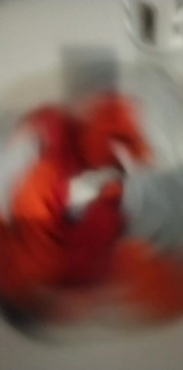 غساله شرط نضافه فول البيع شراي يجي خاص@


**إذا كنت صاحب هذا الإعلان وتريد حذفه لأي سبب، رجاءا أرسل رسالة إلى الدعم الفني**