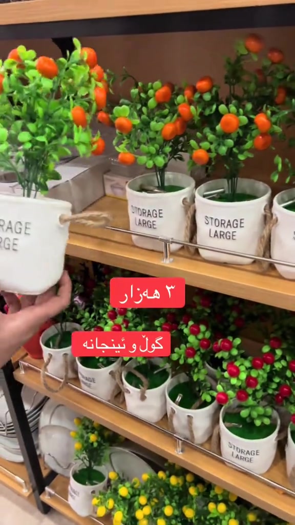 #هەرزان #


**إذا كنت صاحب هذا الإعلان وتريد حذفه لأي سبب، رجاءا أرسل رسالة إلى الدعم الفني**