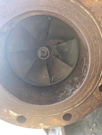 للبيع خنزيرة تونسية  6x5   بشارة براص بلادية  السعر ٣٥٠ الف العنوان حد...