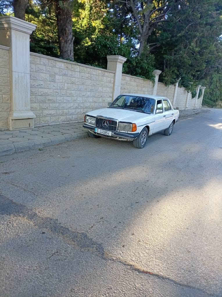 بسم الله ماشاء الله لف للبيع بسعر مغري مجنطه بطارية جديدة واليب نص عمرهن فتيس خمس غيارات رجاج فرش تعبان الك تفحص وين مابدك تواجد قب الياس حد سوق الخضرة الوتساب 79184761 الله يهني صاحب النصيب قب الياس, زحلة


**إذا كنت صاحب هذا الإعلان وتريد حذفه لأي سبب، رجاءا أرسل رسالة إلى الدعم الفني**