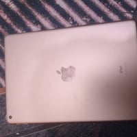 آيباد ٨ • كفالة • شطرة