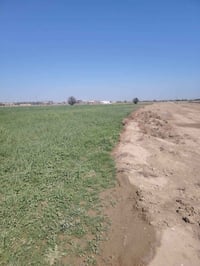 ارض زراعيه • سند • ٢٥٫٥ دونم