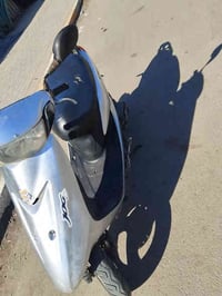 للبيع عصفورية فحل دراجة مكفولة كفالة عامة من كلشي تجي وتفحص وتكلب وتقت...