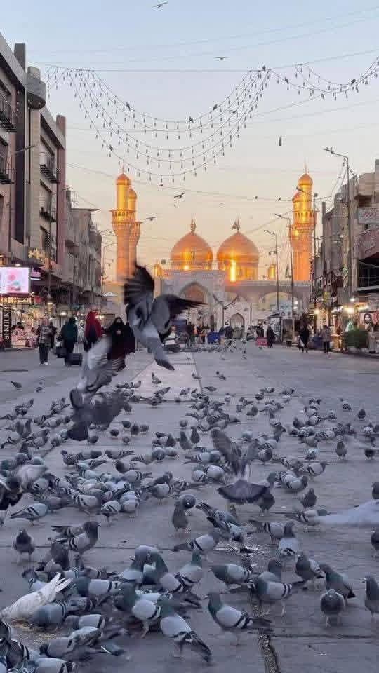 ( بسم الله الرحمن الرحيم 

الى سامراء بلد بغداد

تعلن
 ( حملة نور الزهراء) للسفر والسياحة عن رحلاتها الدينيه الى 
- سامراء 
رحلاتنا الى 
1- زيارة الامام الكاظم ومحمد الجواد(عليهم  السلام 
2- زيارة سيد محمد (سبع الدجيل
3- زيارة الشيخ ابراهيم ابن مالك الاشتر (رضوان الله عليه) 
4-زيارة العسكرين  عليهم السلام)في سامراء
كل هذه المزارات 
#للحجز_والاستفسار :-
حملة نور الزهراء للسفر والسياحة
للأستفسار اكثر اتصل على الارقام التاليه
*********** معن ابو حسين
*********** وتساب
تاريخ الرحله5/22
المصادف / يوم الجمعة القادمه
